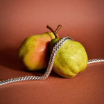 Immagine diapositiva